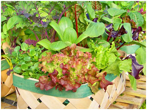 2012 Vegetables